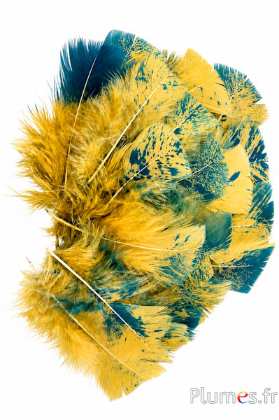 Pute gesprenkelt türkis Farbe - 6-8 cm - curry